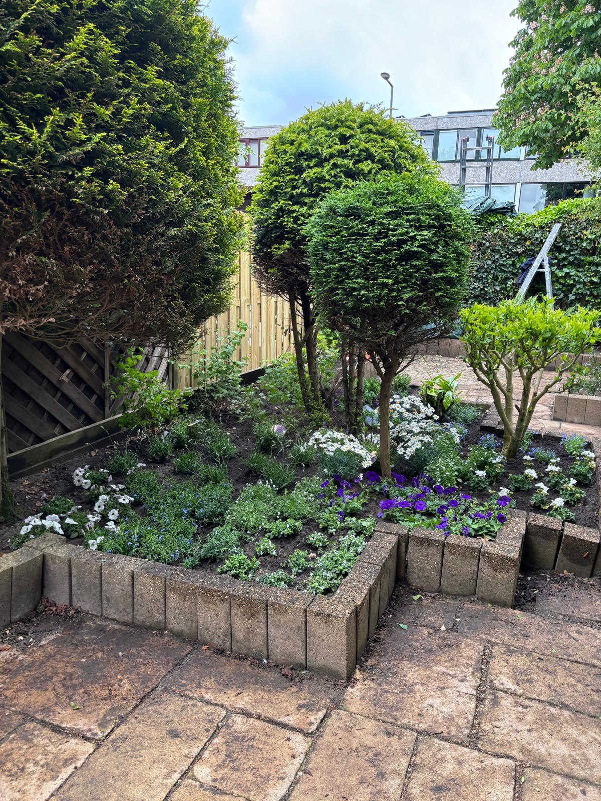 Volle border met bloeiende petunia's en violen
