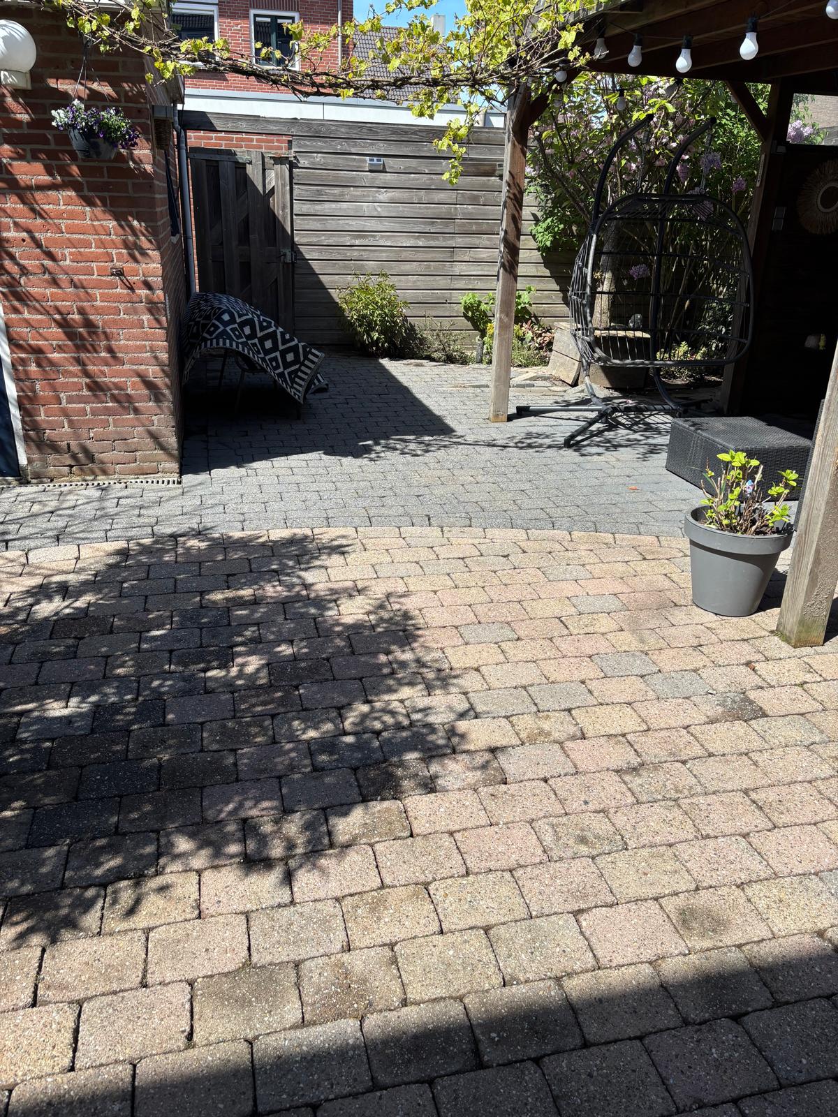 Achtertuin met bestrating en pergola met druif
