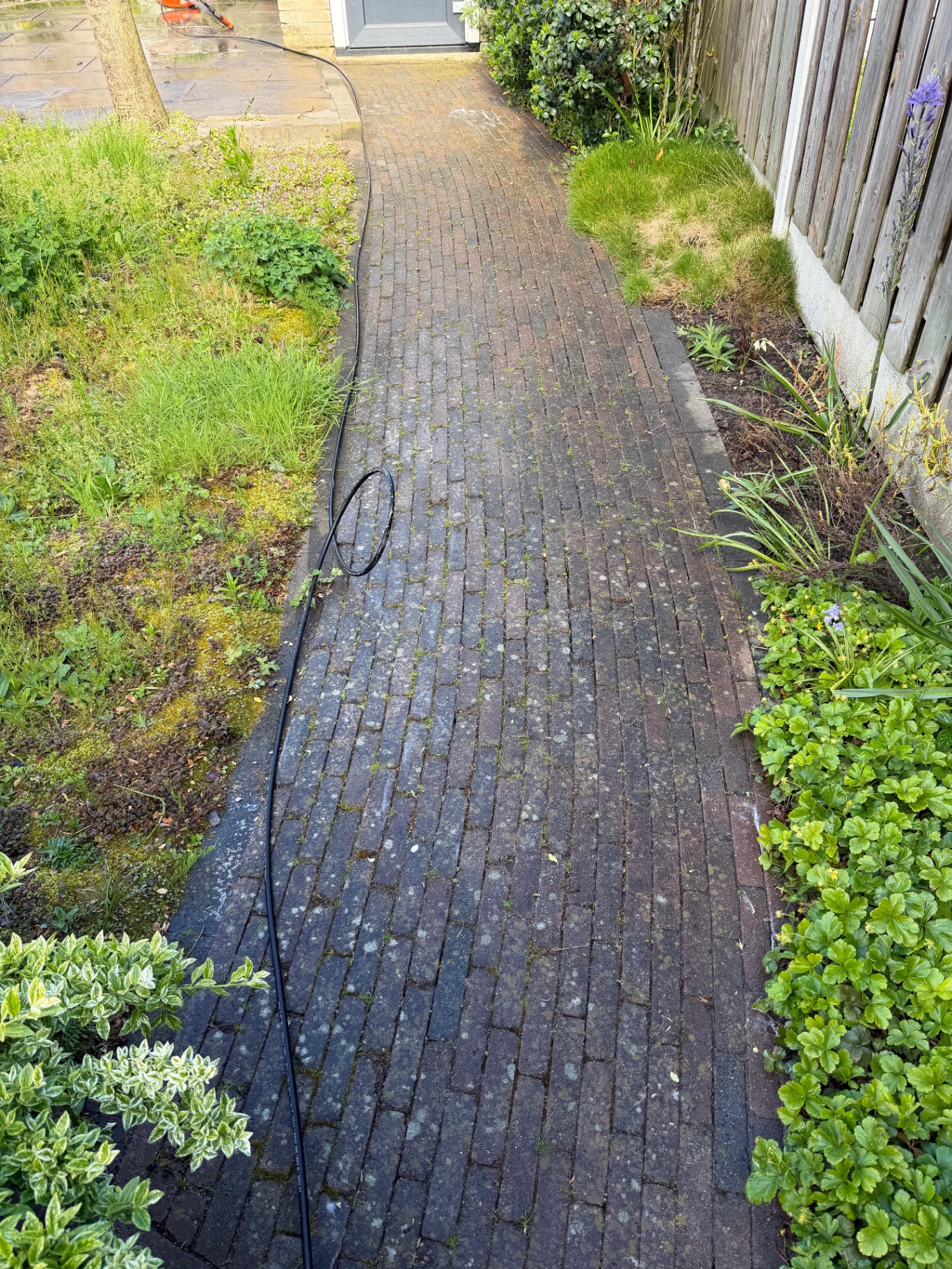 Bestrating reinigen